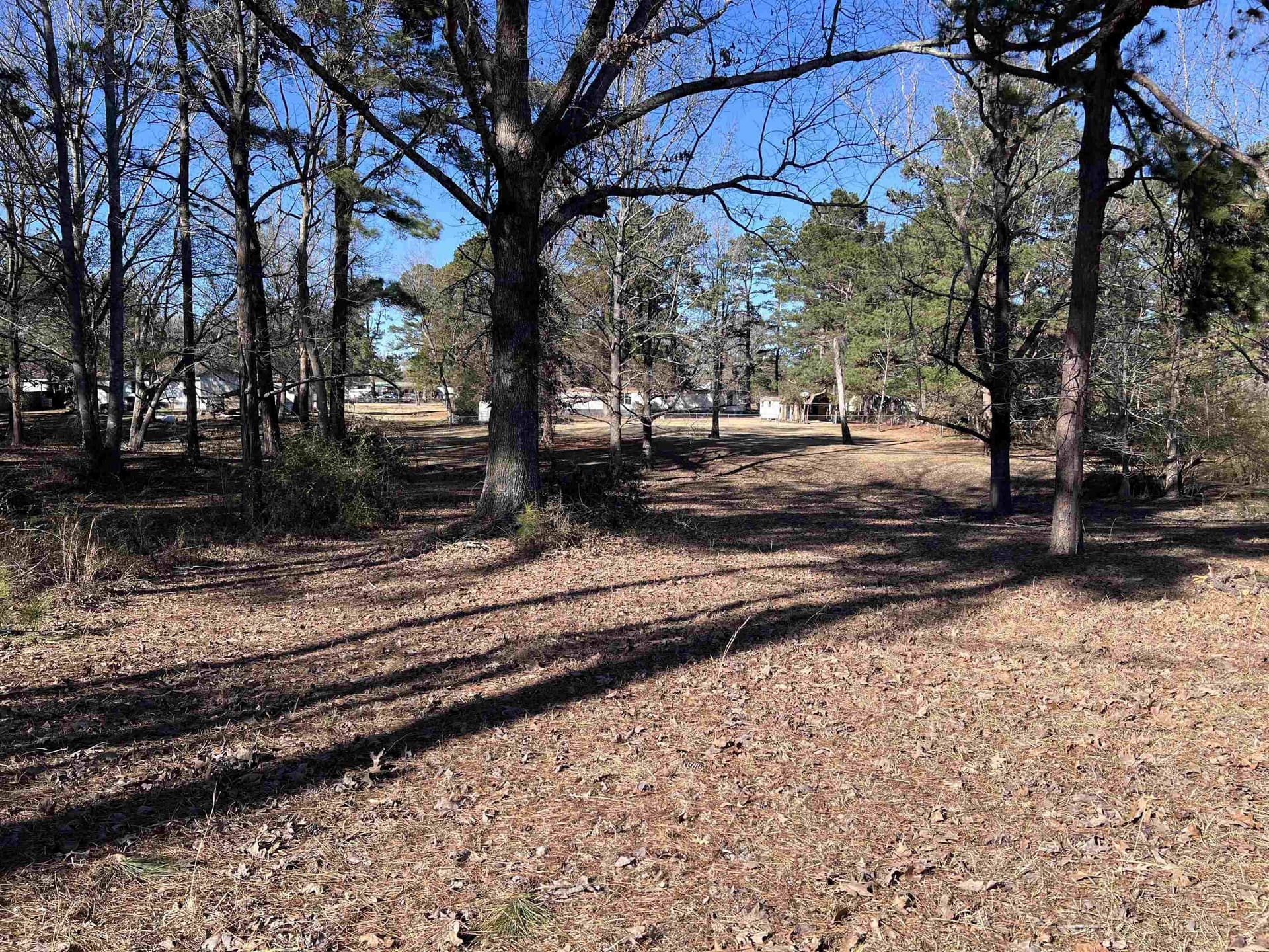 1.53 acres in Panola County - photo 15