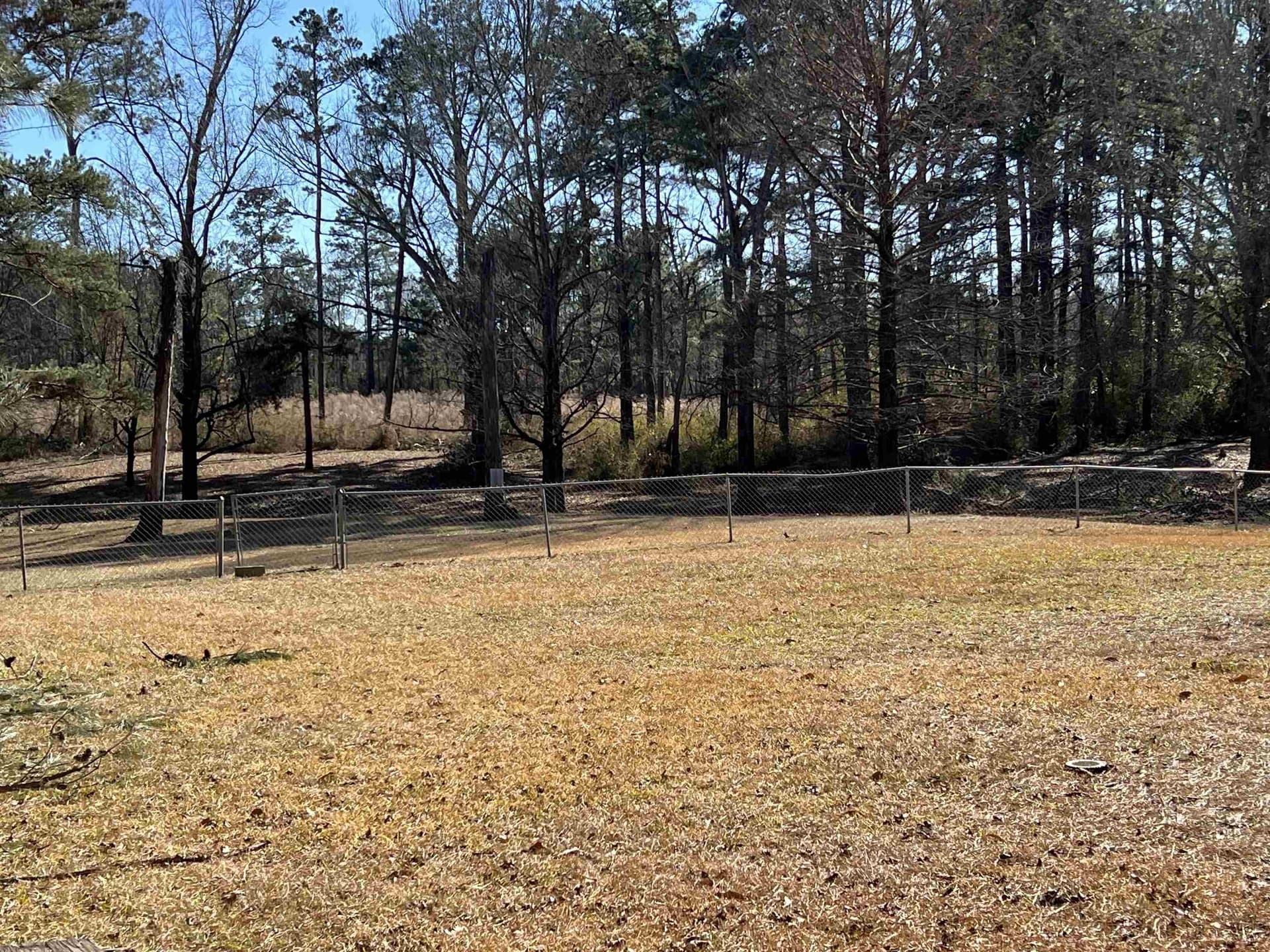 1.53 acres in Panola County - photo 3