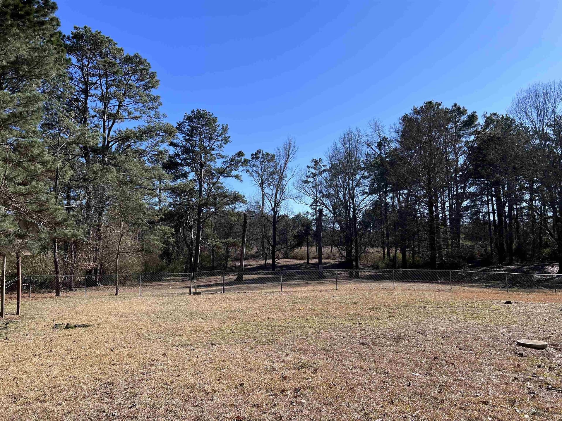 1.53 acres in Panola County - photo 5