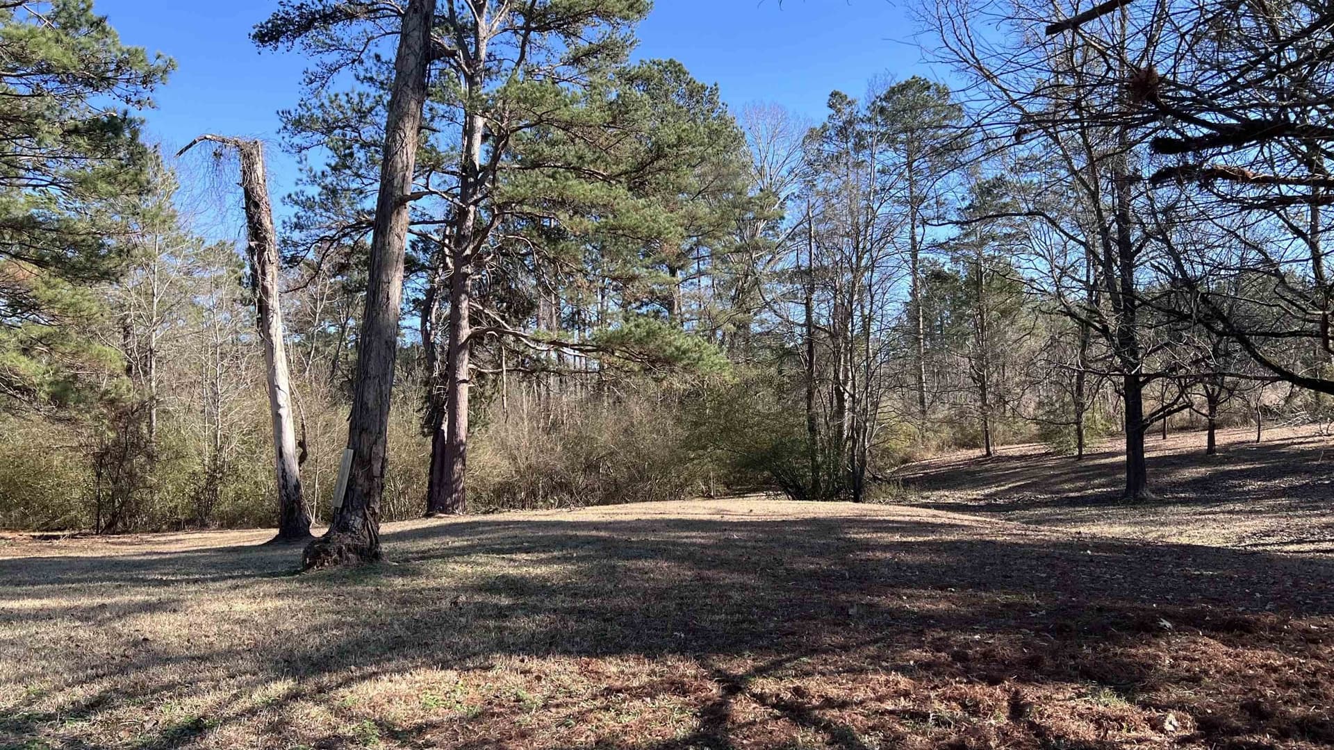 1.53 acres in Panola County - photo 14