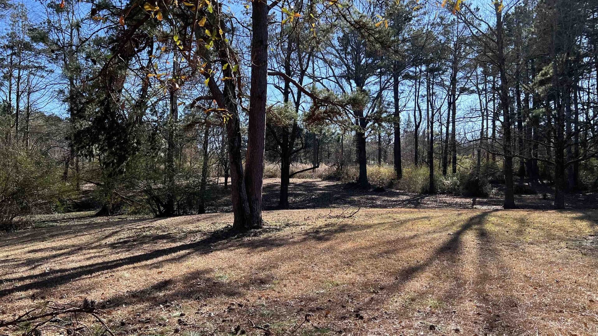 1.53 acres in Panola County - photo 11