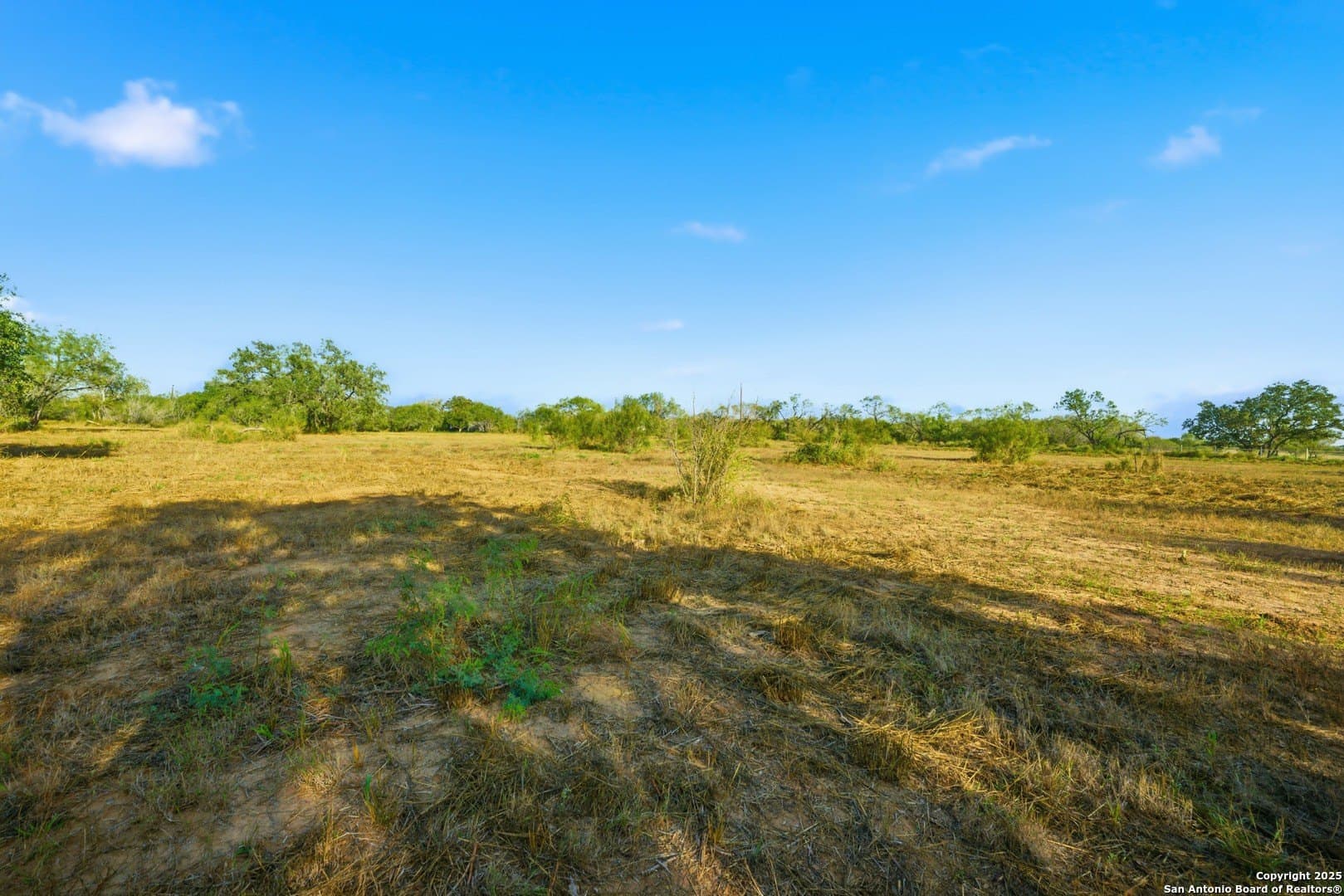 4.66 acres in Frio County - photo 15