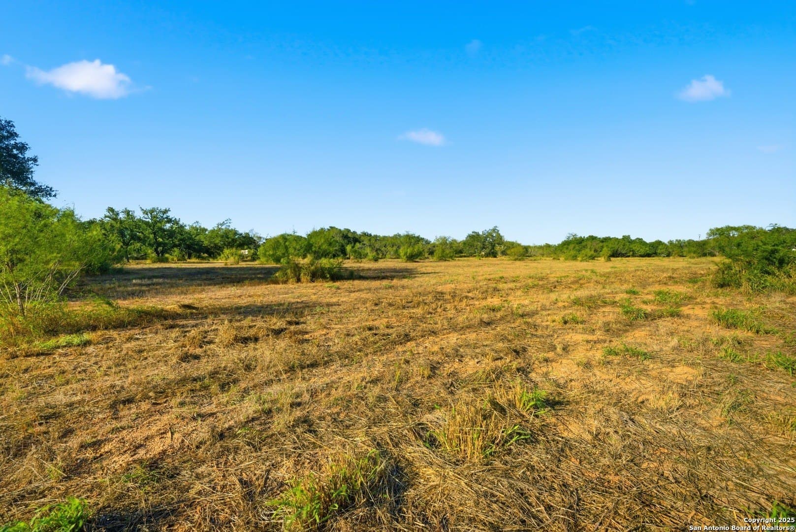 4.66 acres in Frio County - photo 9