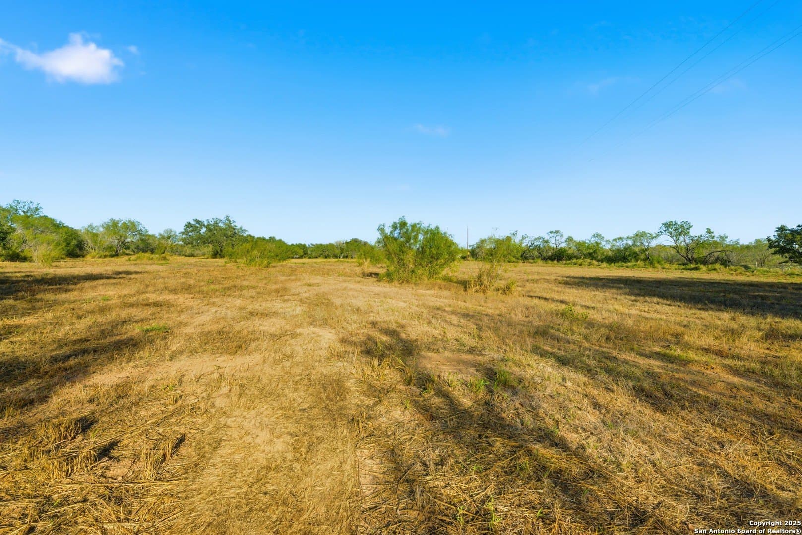 4.66 acres in Frio County - photo 16