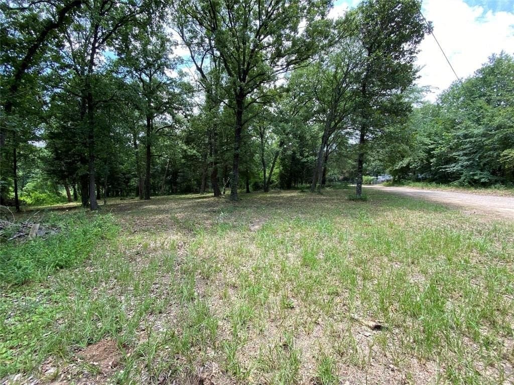 0.2 acres in Henderson County - photo 9