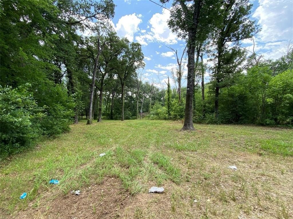 0.2 acres in Henderson County - photo 2