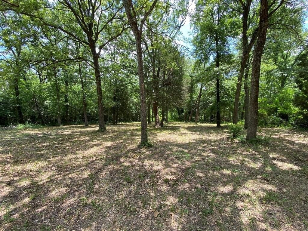 0.2 acres in Henderson County - photo 7