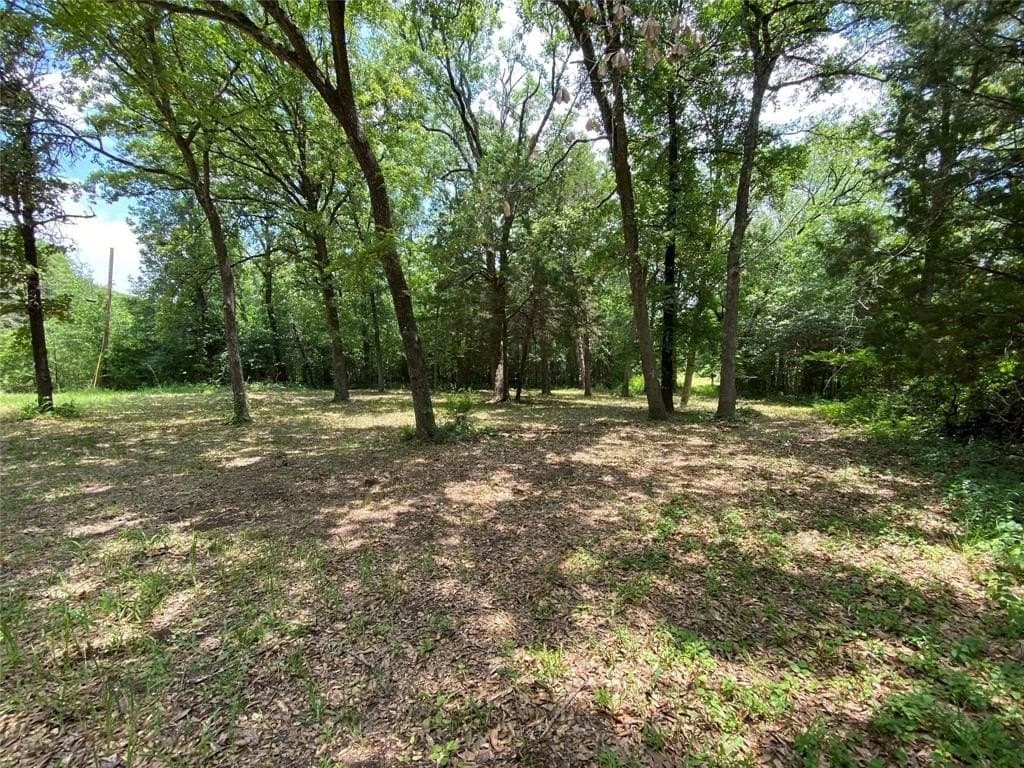 0.2 acres in Henderson County - photo 13