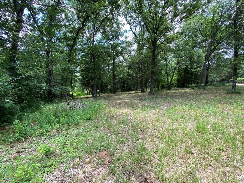 0.2 acres in Henderson County - photo 6