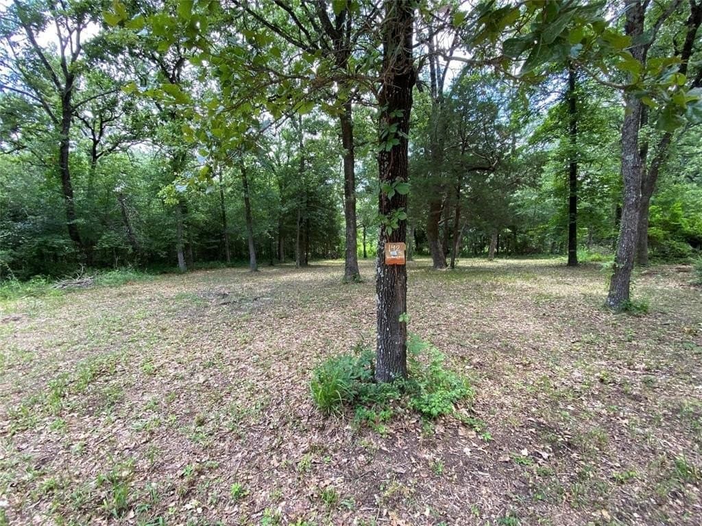 0.2 acres in Henderson County - photo 10