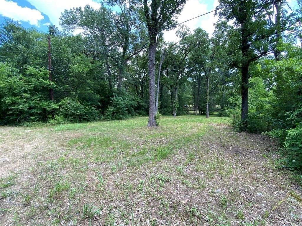 0.2 acres in Henderson County - photo 5