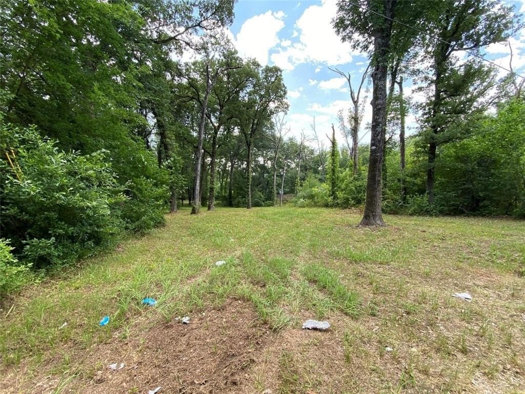 0.2 acres in Henderson County - photo 3