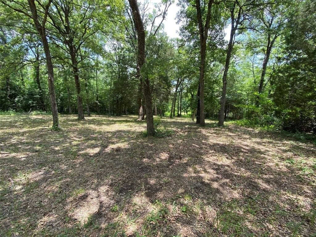 0.2 acres in Henderson County - photo 12