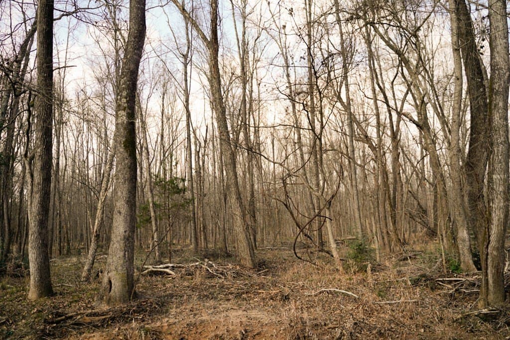 62 acres in Henderson County - photo 3