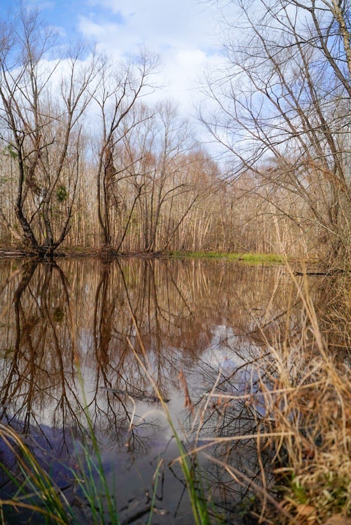 62 acres in Henderson County - photo 4