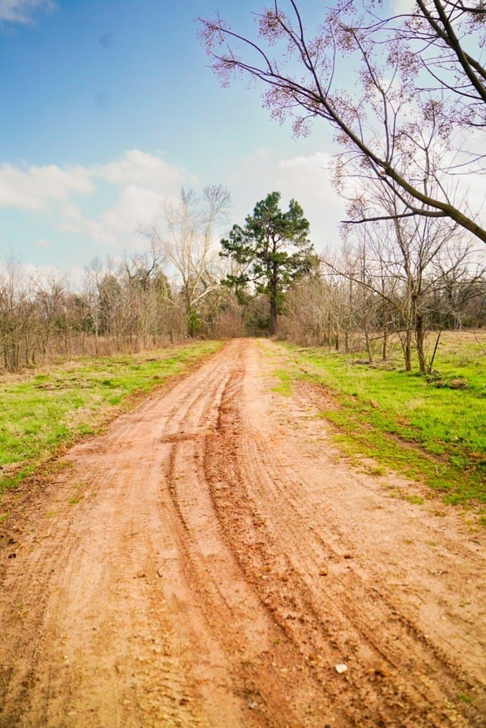 62 acres in Henderson County - photo 17