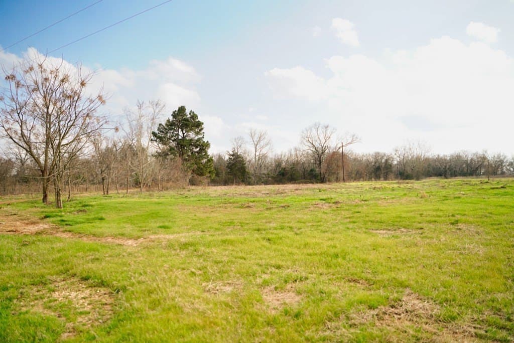 62 acres in Henderson County - photo 12
