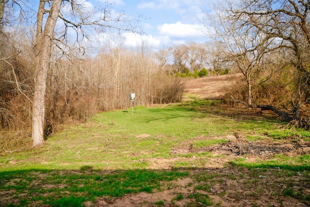 62 acres in Henderson County - photo 5