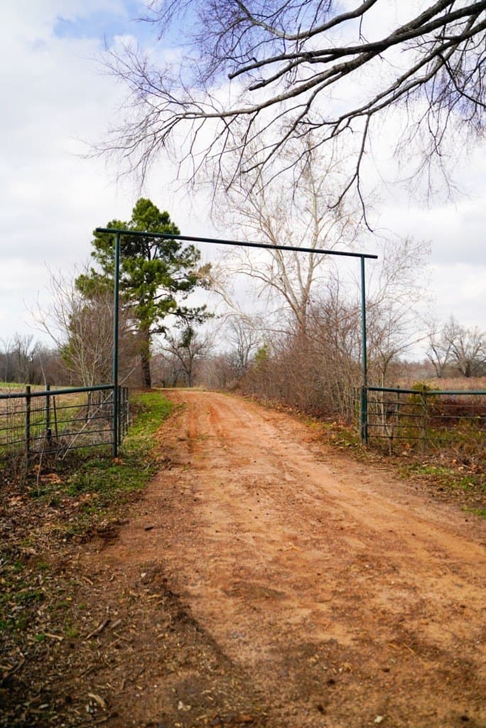 62 acres in Henderson County - photo 9