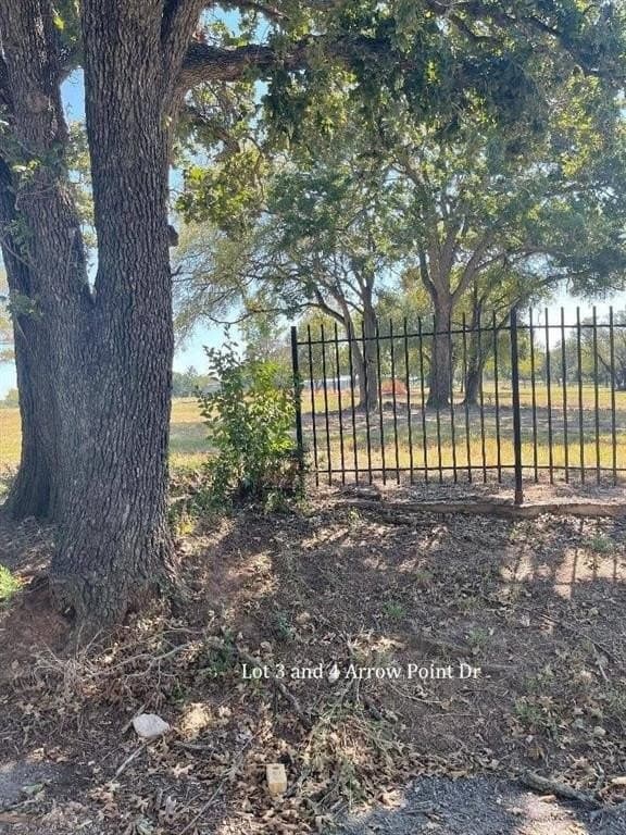 0.32 acres in Parker County - photo 4