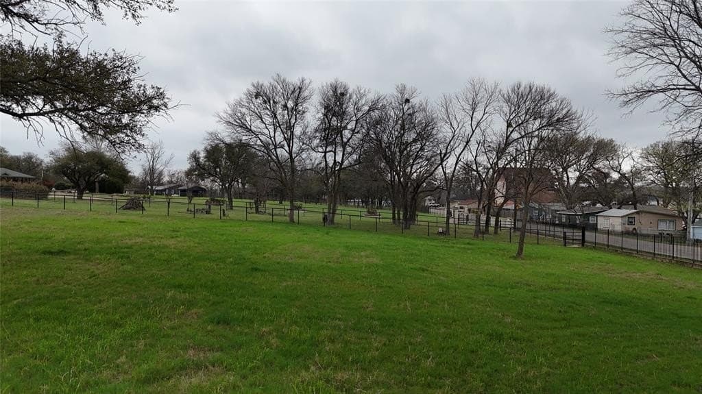 0.32 acres in Parker County - photo 37