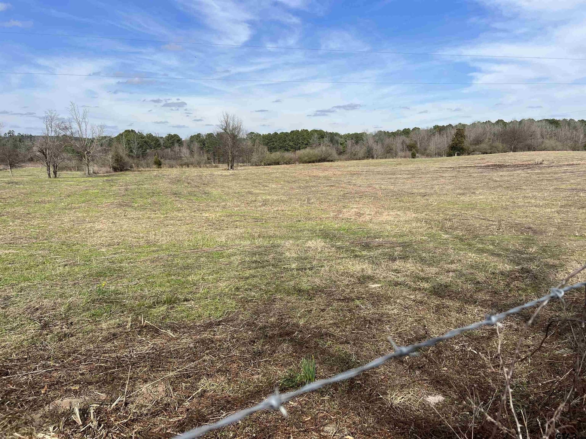 30.31 acres in Cass County - photo 5
