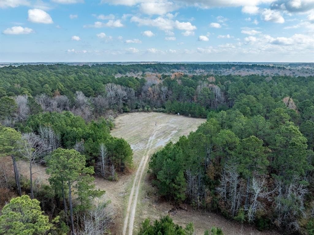 125 acres in Harrison County - photo 14