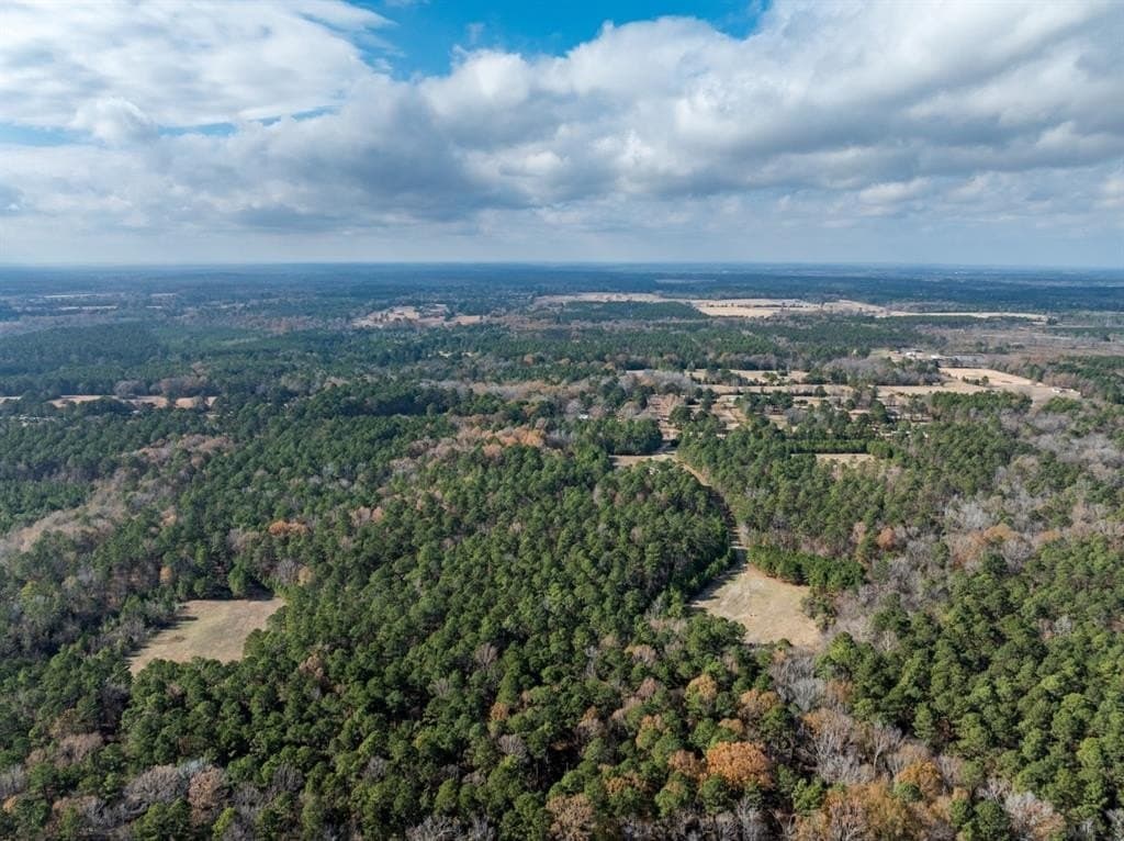 125 acres in Harrison County - photo 7