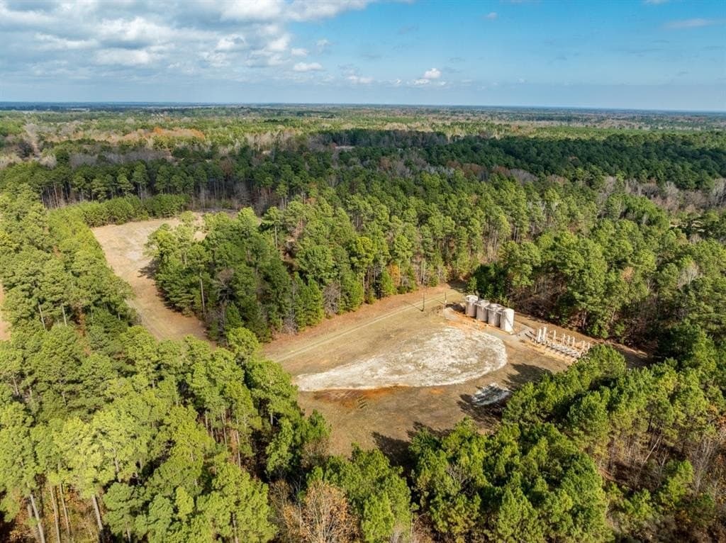 125 acres in Harrison County - photo 6