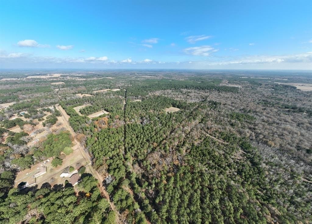 125 acres in Harrison County - photo 3