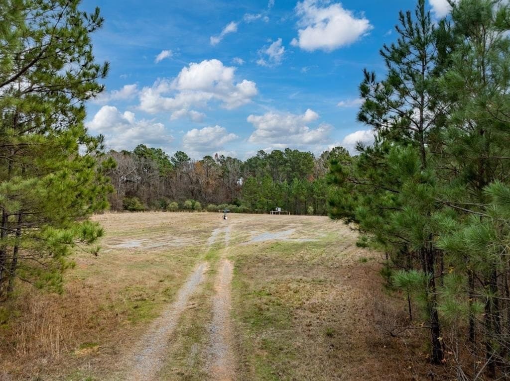 125 acres in Harrison County - photo 15