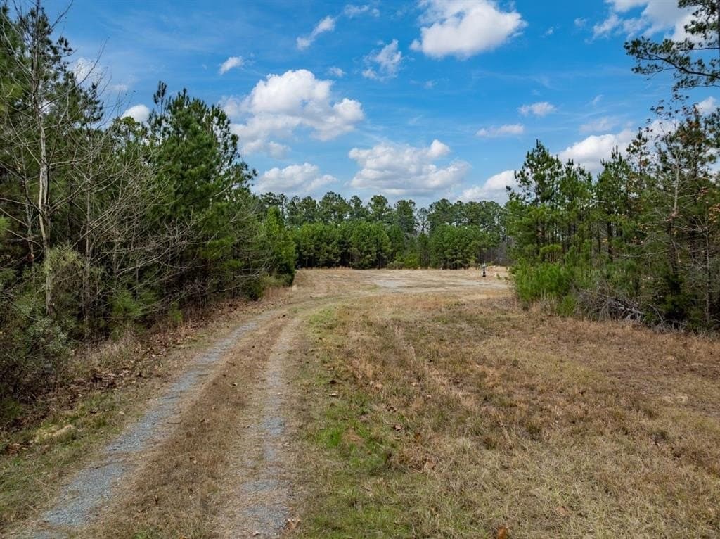 125 acres in Harrison County - photo 17