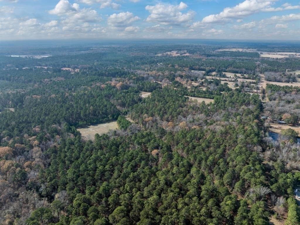 125 acres in Harrison County - photo 11