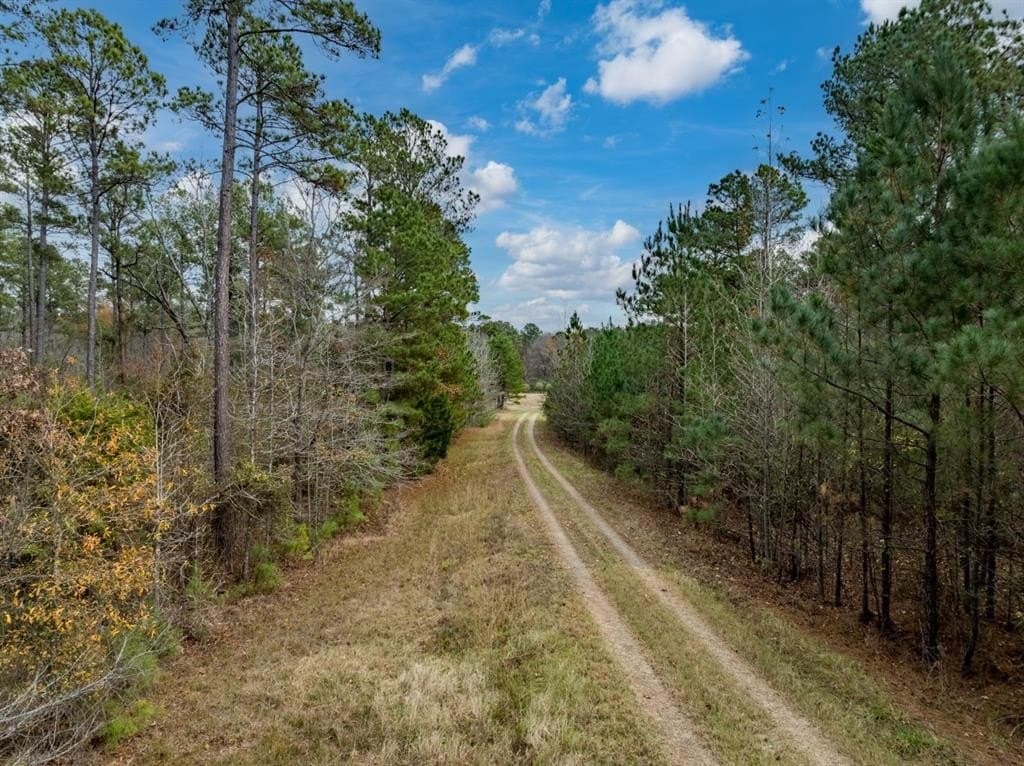 125 acres in Harrison County - photo 19