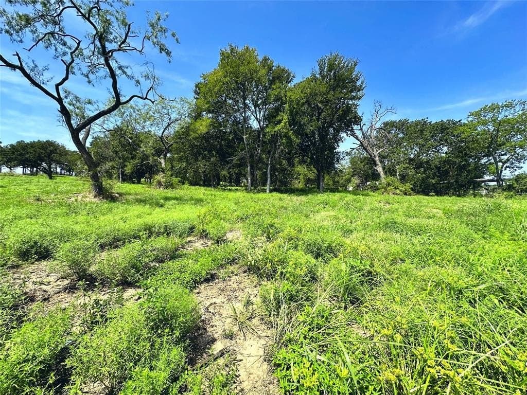 1.13 acres in Navarro County - photo 13