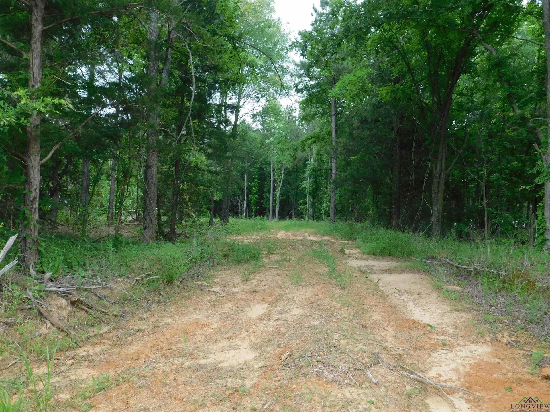 Tbd GROUNDHOG RD