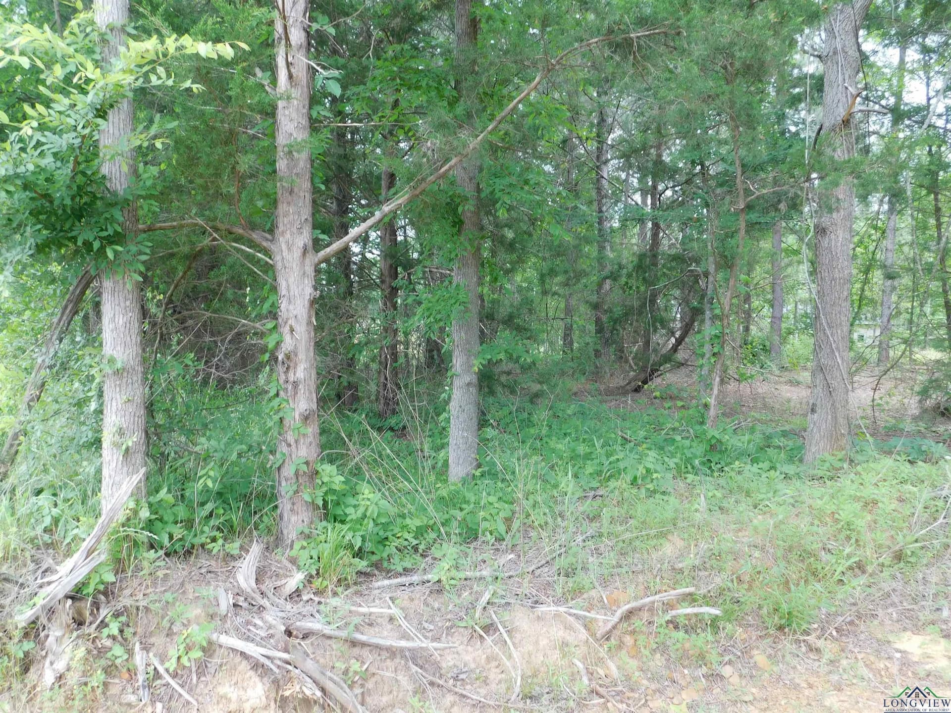 0.71 acres in Texas County - photo 2