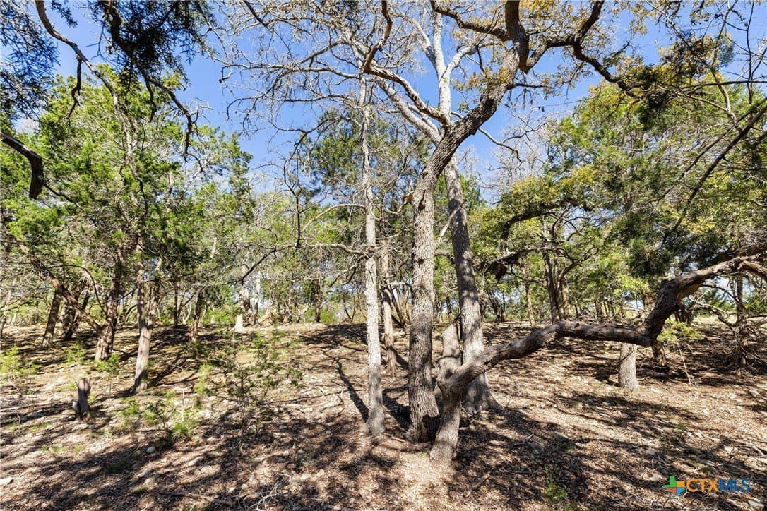 3.13 acres in Blanco County - photo 19
