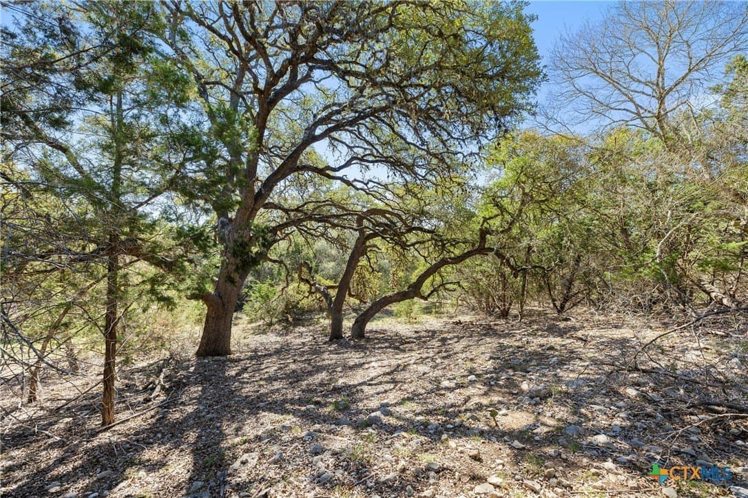3.13 acres in Blanco County - photo 15