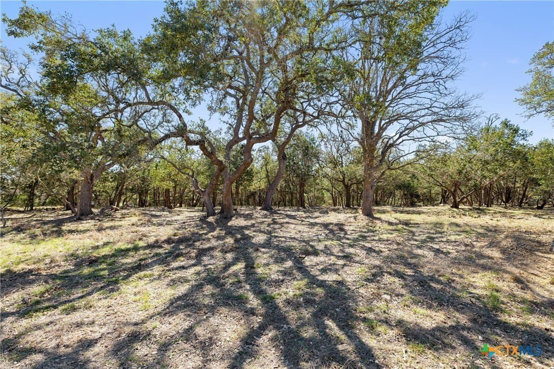 3.13 acres in Blanco County - photo 24