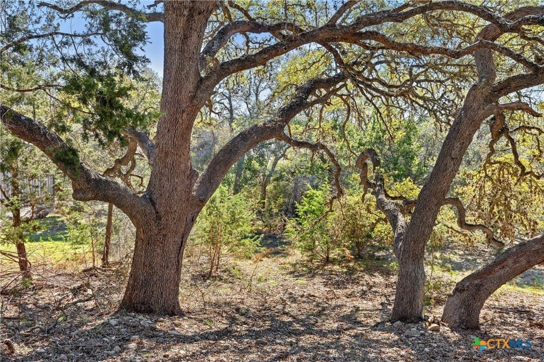 3.13 acres in Blanco County - photo 3
