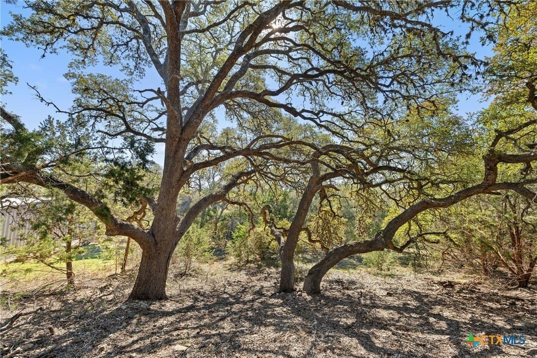 3.13 acres in Blanco County - photo 4