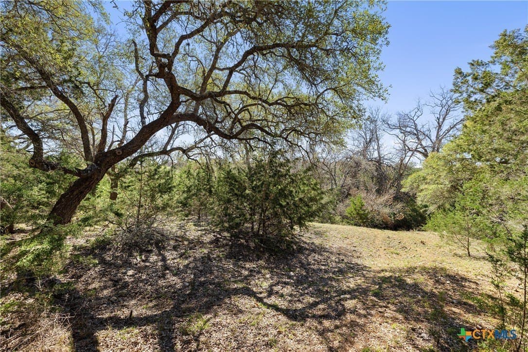 3.13 acres in Blanco County - photo 13