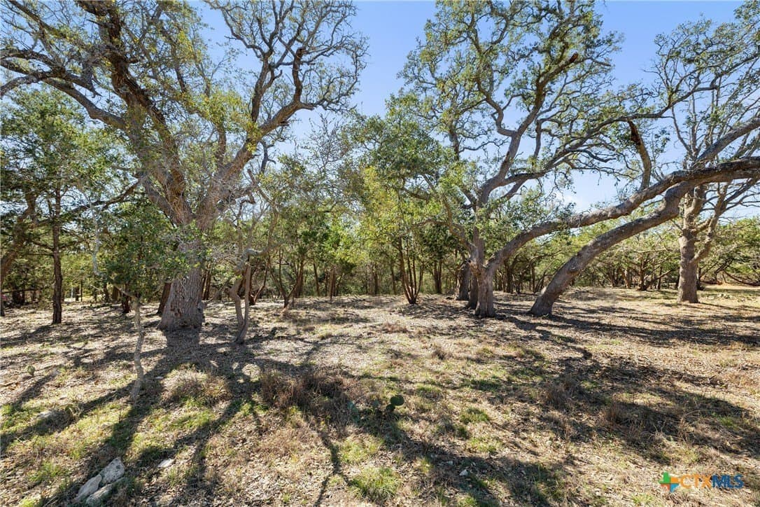 3.13 acres in Blanco County - photo 23