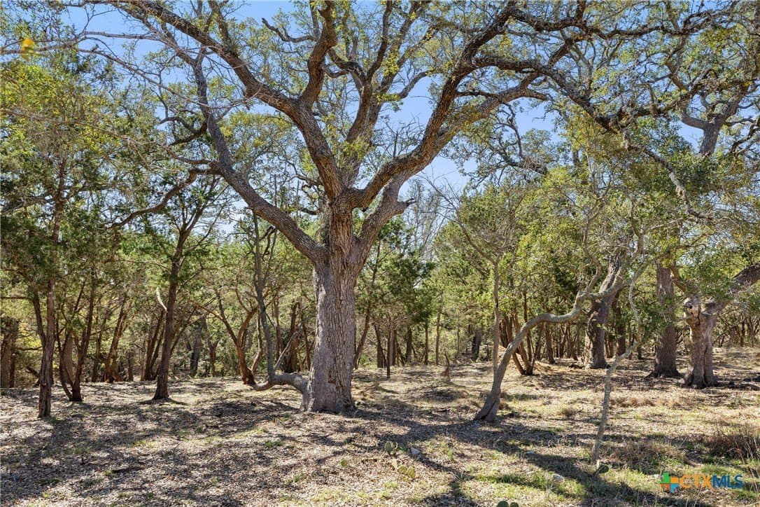 3.13 acres in Blanco County - photo 6