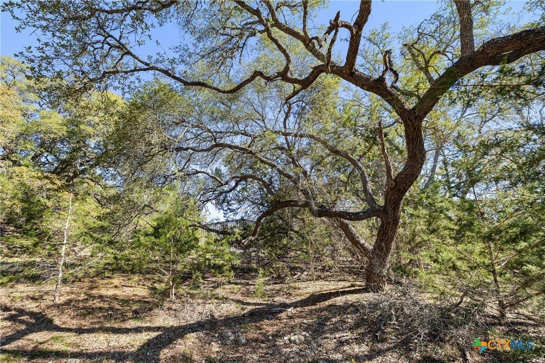 3.13 acres in Blanco County - photo 12