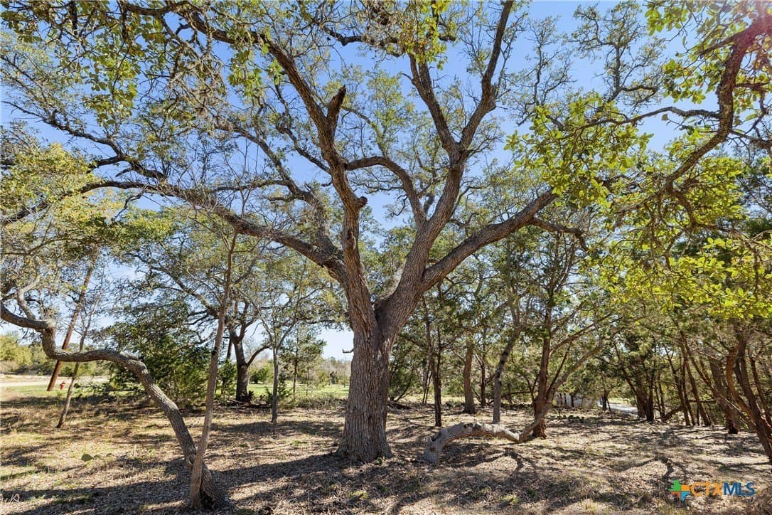 3.13 acres in Blanco County - photo 7