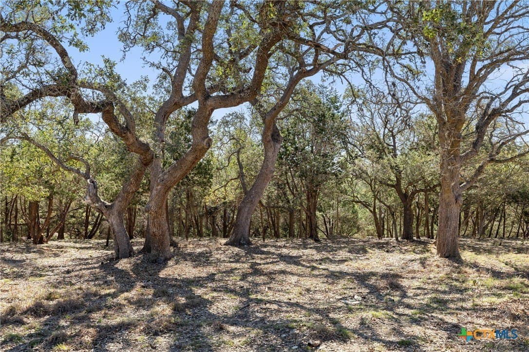 3.13 acres in Blanco County - photo 25