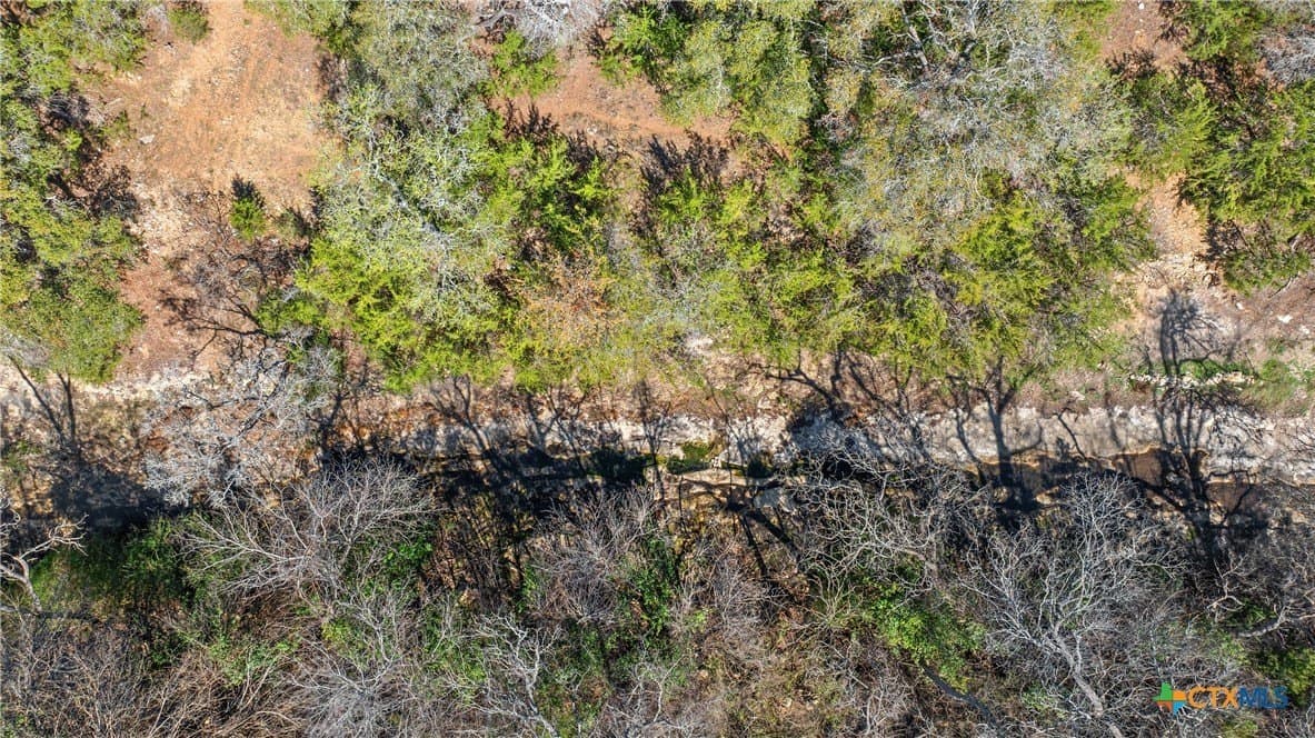 3.13 acres in Blanco County - photo 30