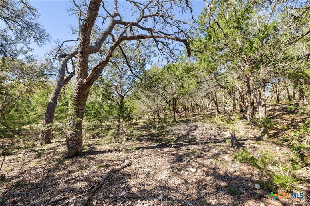 3.13 acres in Blanco County - photo 20